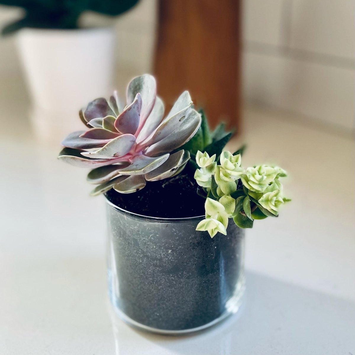 Repurpose Your Candle Jars - Pour & Penchant